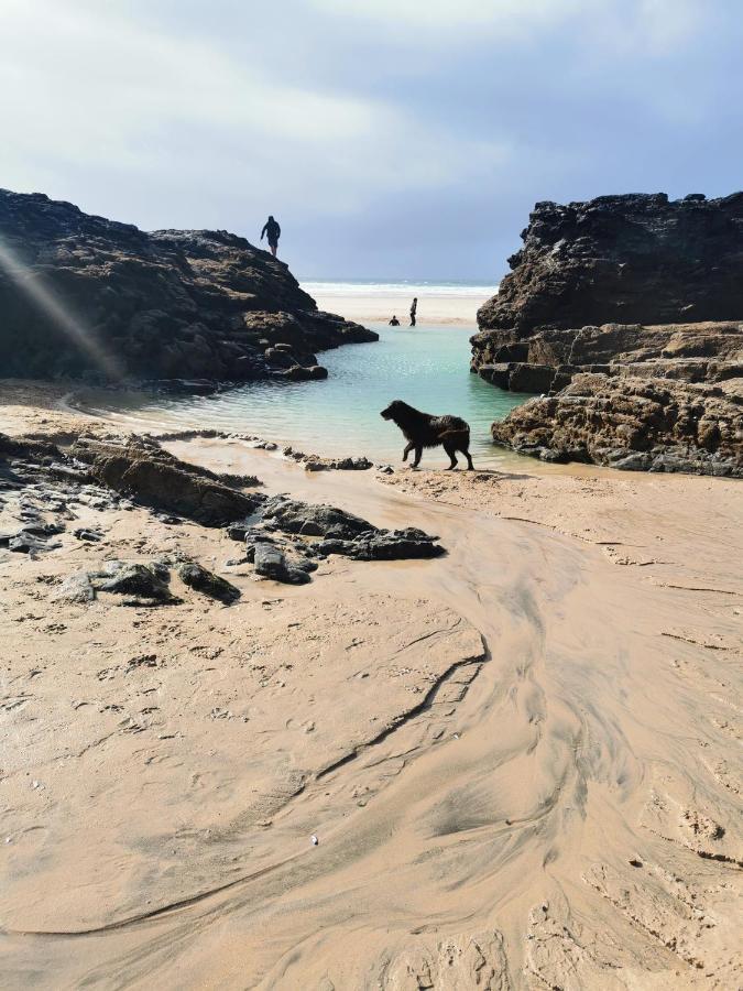 Captivating Isolde Cottage With Pool Near St Ives Camborne Exterior photo